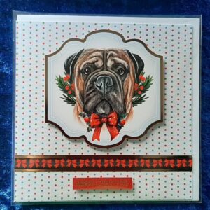 Christmas Card: Christmas Boxer
