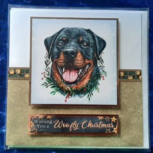 Christmas Card: Christmas Rottweiller/Beauceron