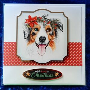 Christmas Card: Christmas Collie