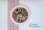 Christmas Card: Border Terrier