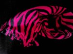 Fleece Scarf:  Bright Tiger Pink - Image 3
