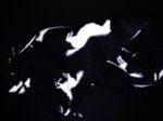 Fleece Scarf:  Black Horses - Image 3